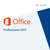 Microsoft Office Professional 2013 Retail Box | techsupplyshop.com.