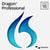 Nuance Dragon Professional Individual V.16 | techsupplyshop.com
