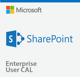 Microsoft SharePoint Server 2019 Enterprise User CAL - CSP | techsupplyshop.com