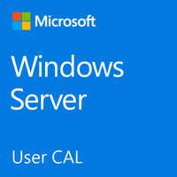 Microsoft Windows Server Government Single User CAL & Software Assurance Open Value 3 Year