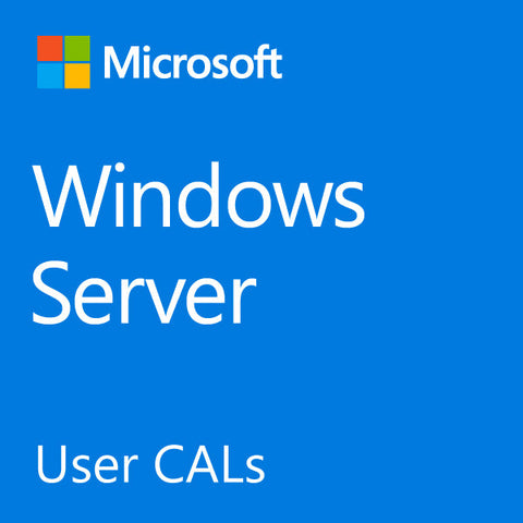 Microsoft Windows Server 2022 - 1 User CAL CSP | techsupplyshop.com