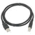 Linksys Usb A/b Cac Cable, 10ft - TechSupplyShop.com