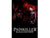 Nordic Games Gmbh Painkiller Black Edition Esd - TechSupplyShop.com