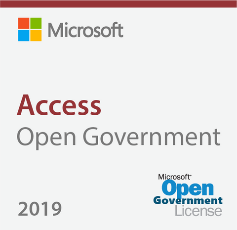 Microsoft Access 2019 Open Government | Microsoft