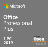 Microsoft Office Professional Plus 2019 - Open Government | Microsoft