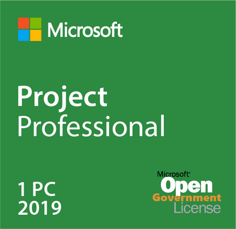 Microsoft Project Professional 2019 Open Government | Microsoft
