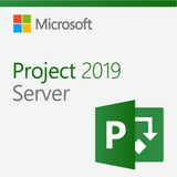 Microsoft Project Server 2019 Open License | Microsoft