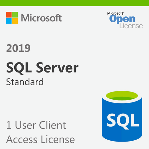 Microsoft SQL Server 2019 Standard - 1 User Client Access License | Microsoft