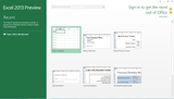 Microsoft Excel 2013 License Open Gov 065-08154 | Microsoft