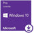 Microsoft Windows 10 Pro Retail Box for GSA #2 | Microsoft