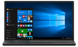Microsoft Windows 10 Professional OEI DVD 64-Bit